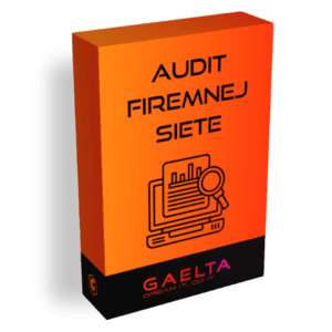 🔍 Audit firemnej siete